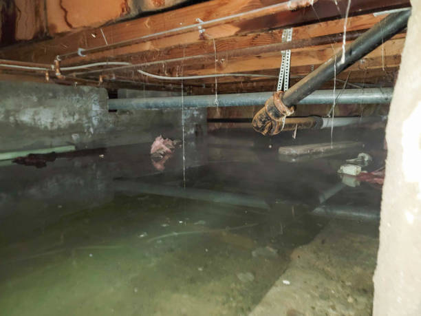 Water Damage Insurance Claim Assistance